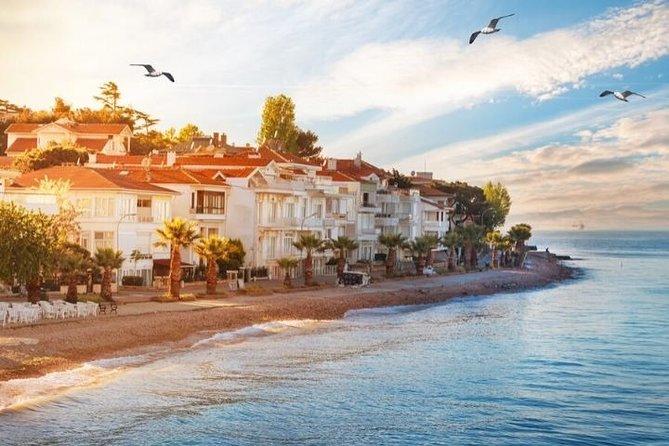Full Day Private Luxury Yacht Cruise to Princes Island and / or Bosphorus - Inclusions
