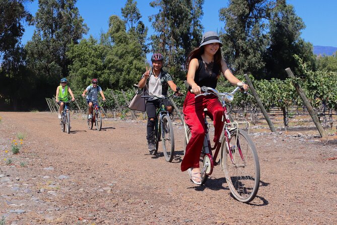 Full-Day Private Maipo Valley Bike Tour and Wine Tasting From Santiago - Itinerary and Experience