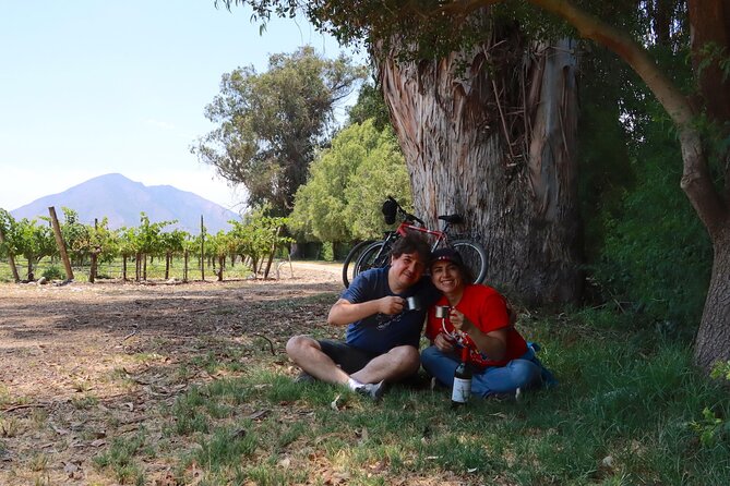 Full-Day Private Maipo Valley Bike Tour and Wine Tasting From Santiago - Customer Reviews and Feedback