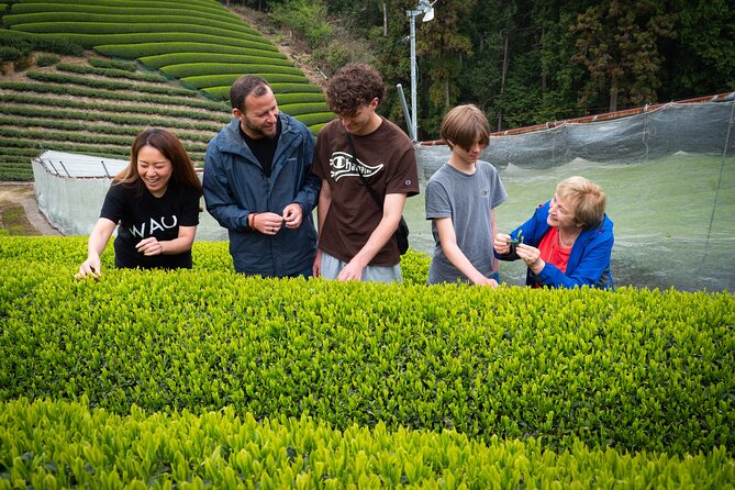 Full Day Private Matcha Experience True Hidden Kyoto - Included Services