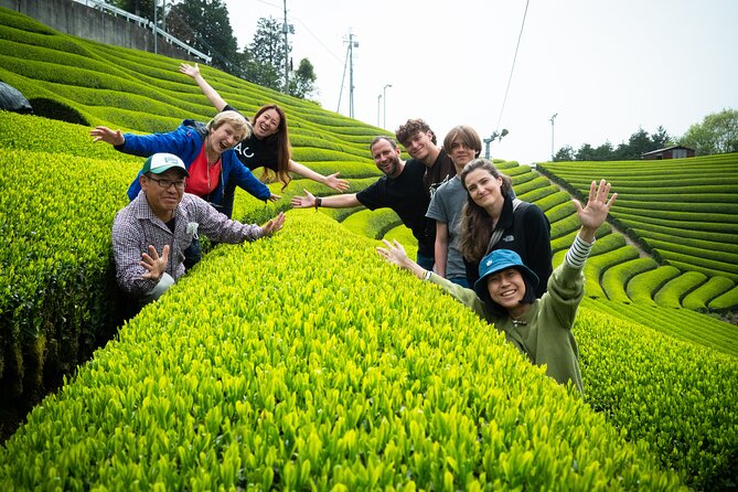 Full Day Private Matcha Experience True Hidden Kyoto - Pickup and Meeting