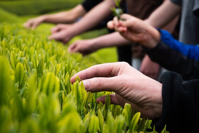 Full Day Private Matcha Experience True Hidden Kyoto - Matcha Kaiseki Course