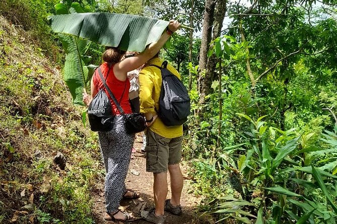 Full Day Private Materuni Waterfall and Kikuletwa Hot Spring Tour - Pickup Information