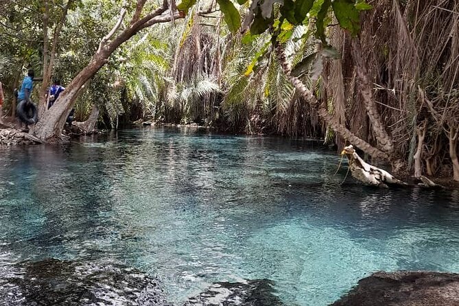 Full Day Private Materuni Waterfall and Kikuletwa Hot Spring Tour - Schedule