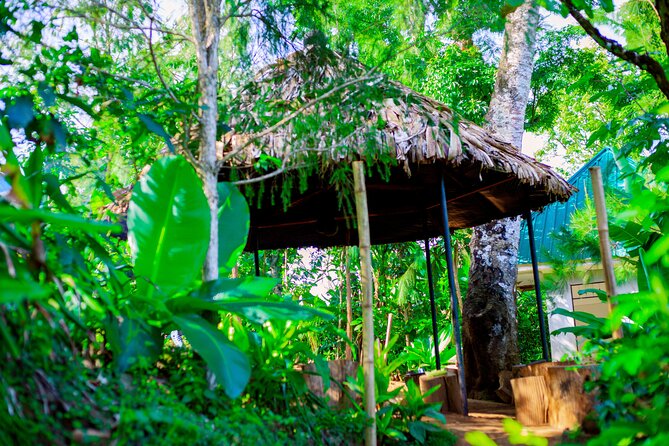 Full Day Private Materuni Waterfall and Kikuletwa Hot Spring Tour - Tour Requirements