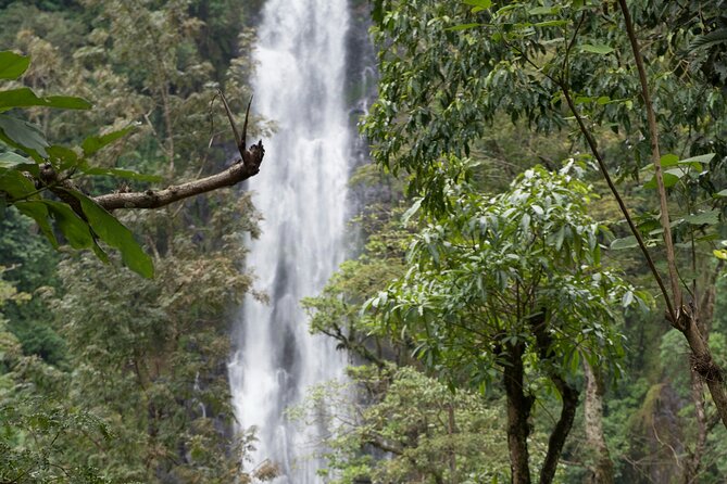 Full Day Private Materuni Waterfall and Kikuletwa Hot Spring Tour - Relax at Kikuletwa Hot Spring