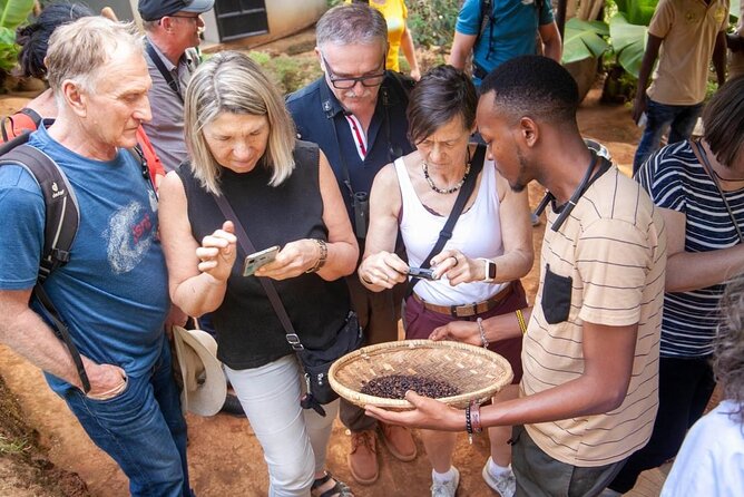 Full-Day Private Materuni Waterfalls and Coffee in Tanzania - Key Points