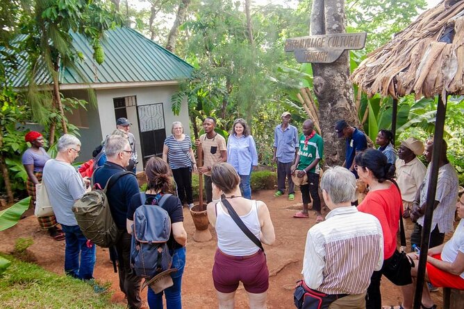 Full-Day Private Materuni Waterfalls and Coffee in Tanzania - Meeting and Pickup