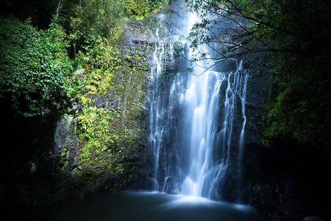 Full Day Private Maui Waterfall, Beach & Hana Tour - Whats Included in the Tour