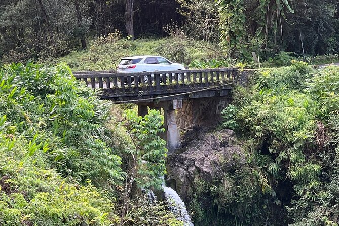 Full Day Private Maui Waterfall, Beach & Hana Tour - Accessibility Features