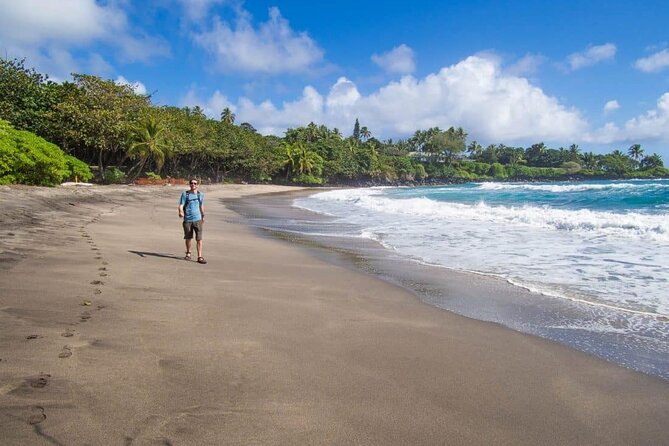 Full Day Private Maui Waterfall, Beach & Hana Tour - Customer Reviews and Feedback