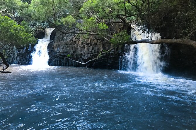Full Day Private Maui Waterfall, Beach & Hana Tour - Tips for a Memorable Tour
