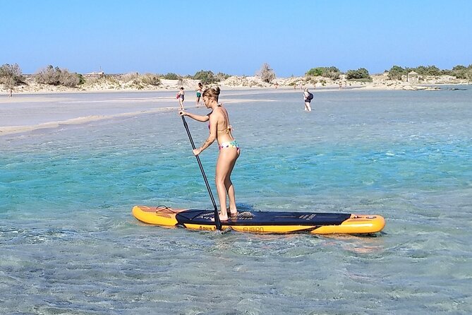 Full Day Private Minivan Tour to Elafonisi Beach and Kedrodasos - Pickup and Dropoff Information