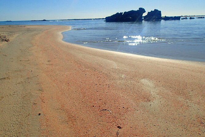 Full Day Private Minivan Tour to Elafonisi Beach and Kedrodasos - Discovering Kedrodasos