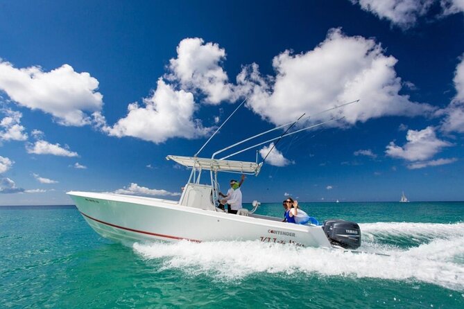 Full-Day Private Motorboat Adventure to Isla Saona –All-Inclusive - Experience Overview
