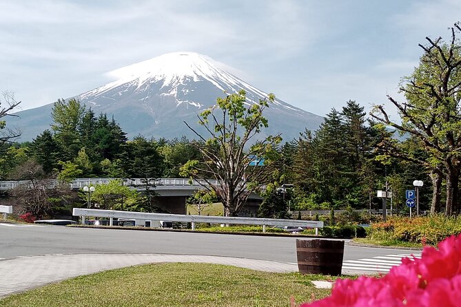 Full-day Private Mount Fuji Tour by Premium Car - Cancellation Policy