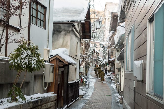 Full-Day Private Nagano Tour: Zenkoji Temple, Obuse, Jigokudani Monkey Park - Inclusions and Exclusions