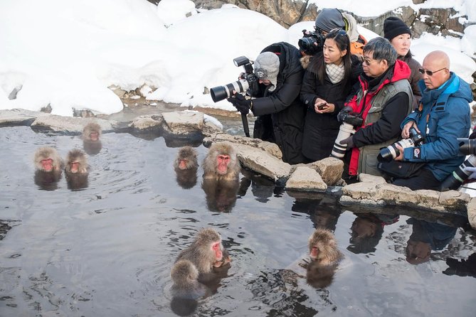 Full-Day Private Nagano Tour: Zenkoji Temple, Obuse, Jigokudani Monkey Park - Cancellation and Refund Policy