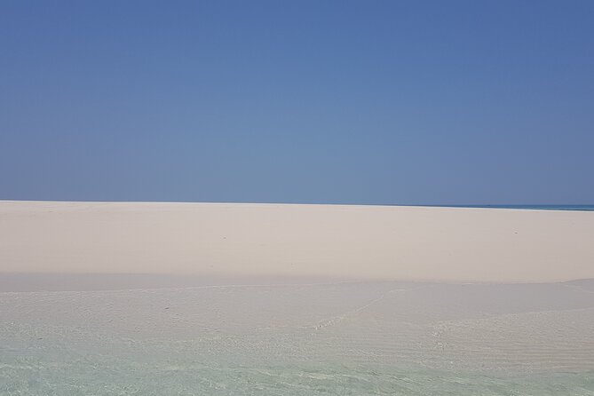 Full Day Private Nakupenda Bis / Nyange Sandbank in Zanzibar - Customer Reviews