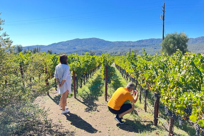 Full Day Private Napa Valley Wine Experience - About the Tour Operator