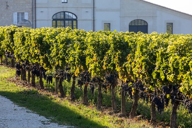 Full Day Private Nemea Wine Tour Experience From Athens - Booking and Logistics