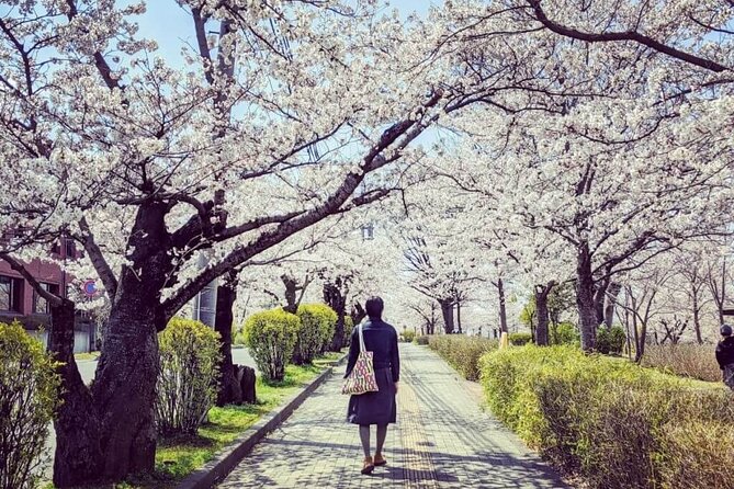 Full-Day Private Nikko Tour in Tokyo With English Speaking Driver - Transportation Information