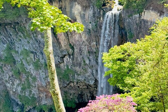Full-Day Private Nikko Tour in Tokyo With English Speaking Driver - Accessibility and Accommodations