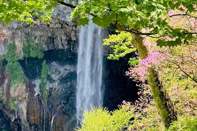 Full-Day Private Nikko Tour in Tokyo With English Speaking Driver - Additional Tour Details