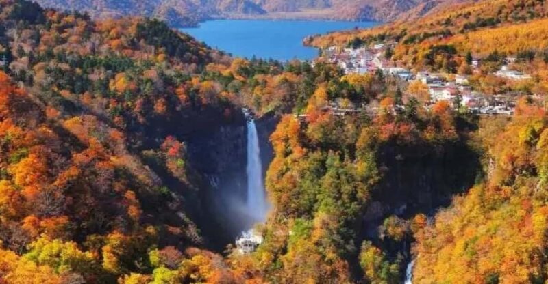 Full-Day Private Nikko Tour With English Speaking Driver - Pickup and Drop-off
