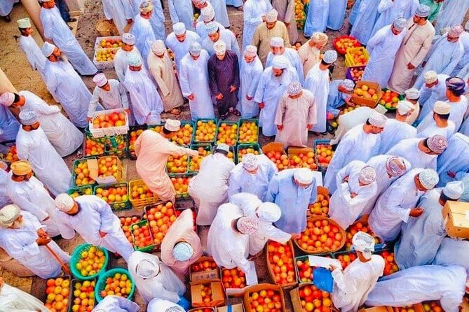 Full Day Private Nizwa/Jebel Akhdar - Tour Details