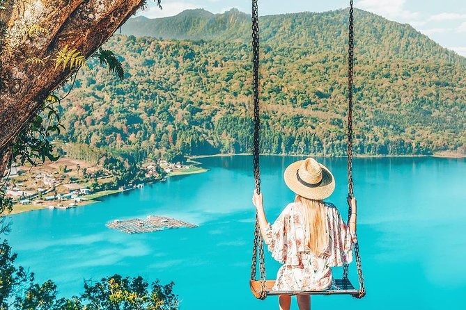 Full-Day Private North Bali Tour With Free Wifi - Wanagiri Hills Jungle Swing Experience