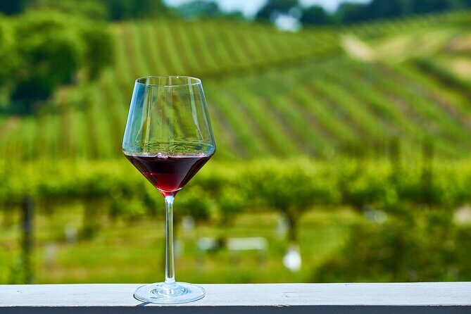 Full-Day Private Oliver & Osoyoos Wine Tour from Kelowna - Who Will Love This Tour?