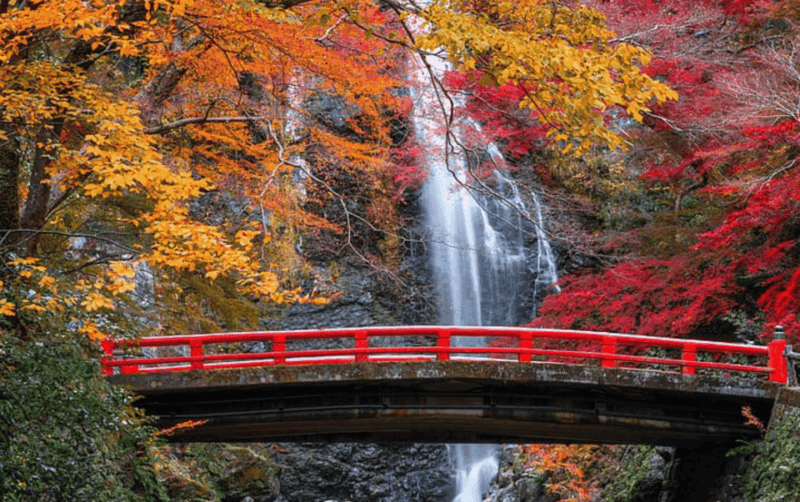 Full Day Private Osaka City Tour With Englishspeaking Guide - Osaka Castle Exploration