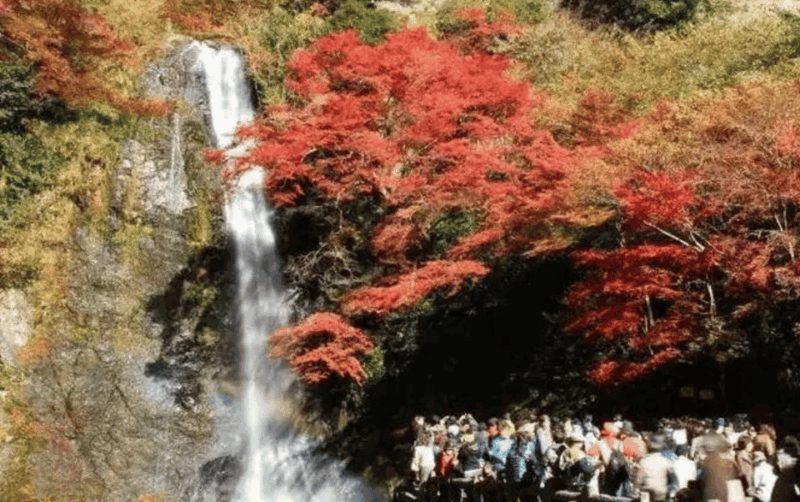 Full Day Private Osaka City Tour With Englishspeaking Guide - Cup Noodles Museum Visit