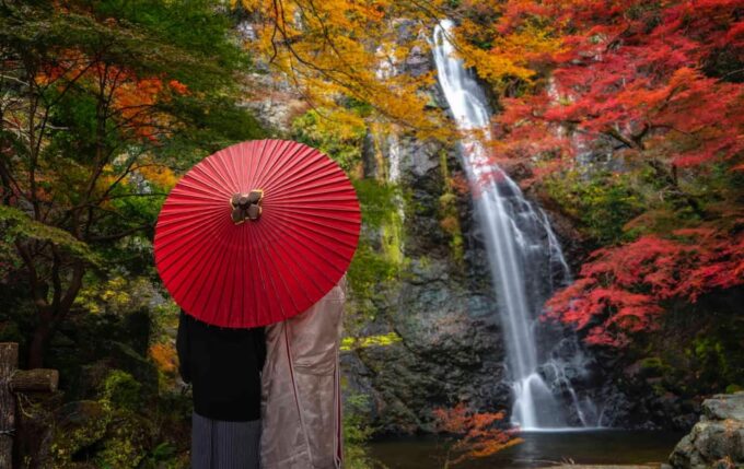 Full Day Private Osaka City Tour With Englishspeaking Guide - Abeno Harukas 300 Observation