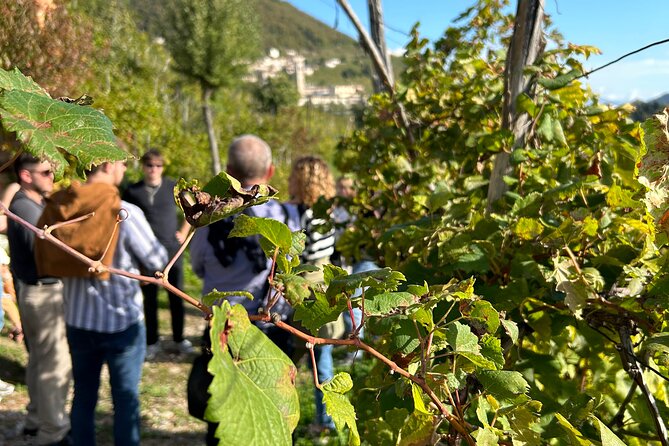 Full-Day Private Prosecco Road Tour All Inclusive From Venice - Transportation and Accessibility