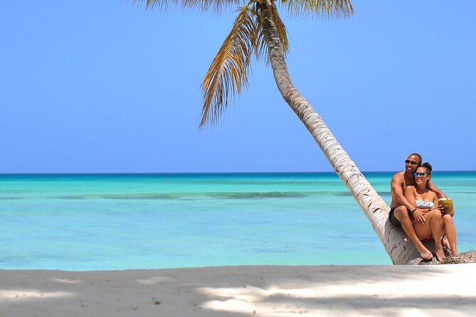 Full-Day Private Punta Cana Saona Tour by Speedboat - Tour Overview