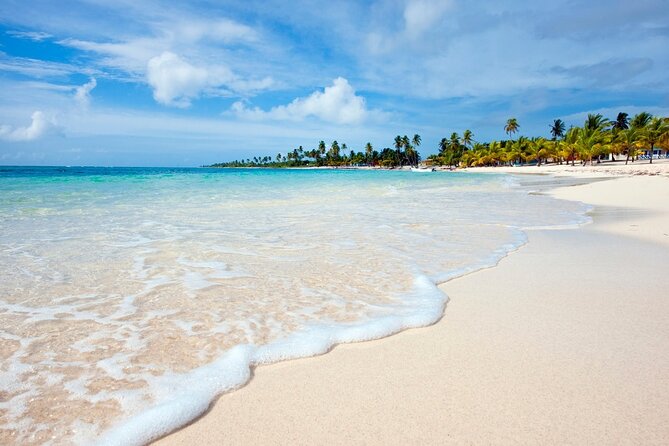Full-Day Private Punta Cana Saona Tour by Speedboat - Private Transportation