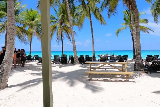 Full-Day Private Punta Cana Saona Tour by Speedboat - Tour Highlights