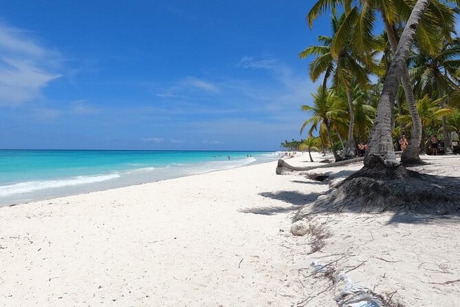 Full-Day Private Punta Cana Saona Tour by Speedboat - Booking Details