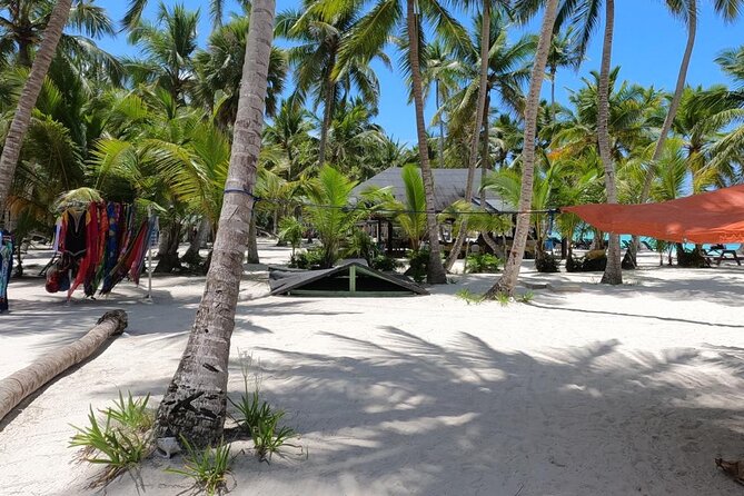 Full-Day Private Punta Cana Saona Tour by Speedboat - Booking Your Stay
