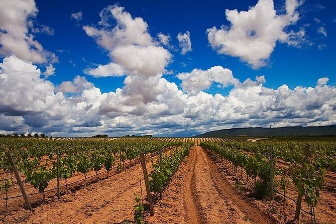 Full Day Private Requena Wineries Premium Tastings - About Your Stay