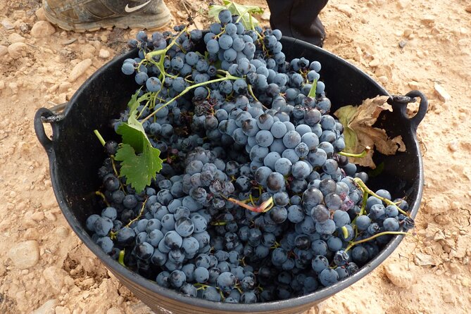 Full Day Private Requena Wineries Premium Tastings - Transportation and Pickup Details