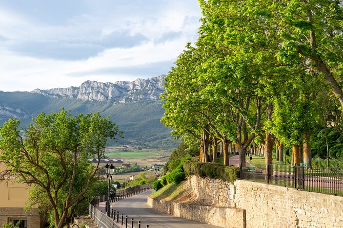 Full Day Private Rioja Wine Tour Experience From La Rioja - About Your Stay