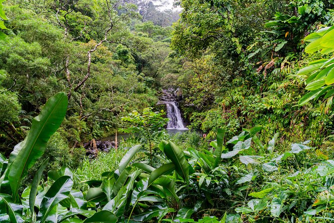 Full-Day Private Road to Hana Tour From Lahaina-Kapalua - Included in the Tour