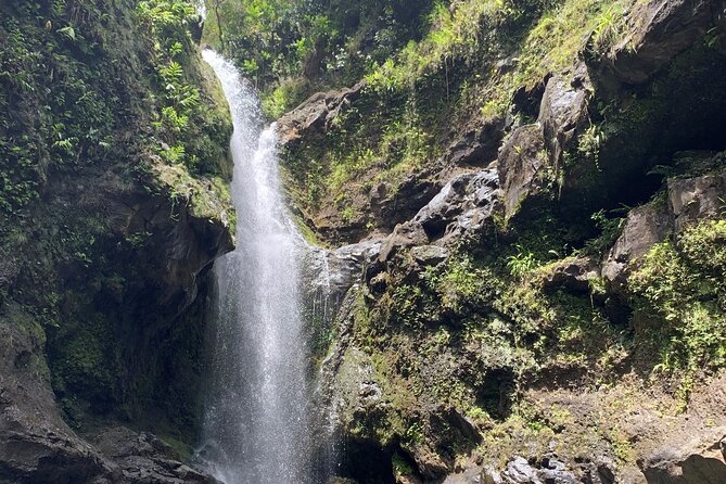 Full-Day Private Road to Hana Tour From Lahaina-Kapalua - Pricing