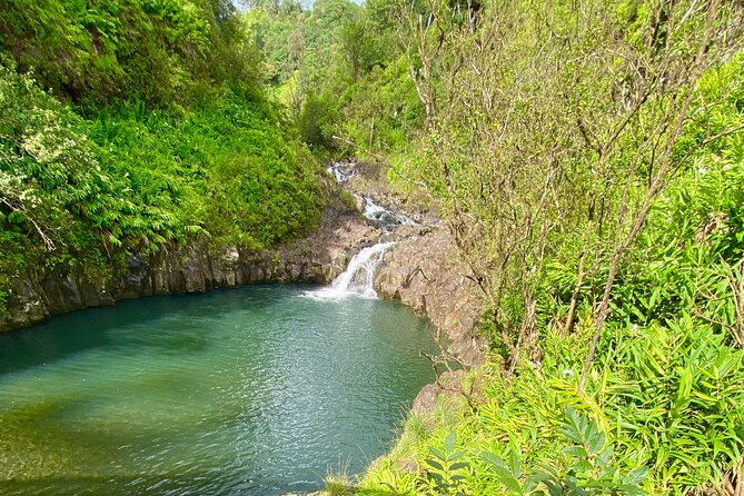 Full Day Private Road Tour to Hana - Tour Overview