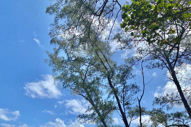 Full Day Private Road Tour to Hana - Participation Requirements