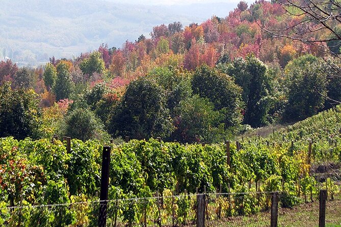 Full-Day Private Royal Heritage Tour to Oplenac With a Winery Visit - Booking Information