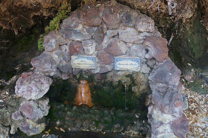 Full-Day Private São Miguel Tour With Furnas and Hot Springs - Transportation and Pickup Details